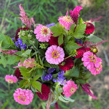 Load image into Gallery viewer, 8 Vouchers Farmstand Bunch