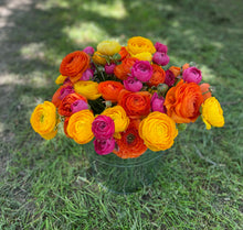 Load image into Gallery viewer, 15 Week Spring Flower Subscription