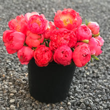 Load image into Gallery viewer, 15 Week Spring Flower Subscription